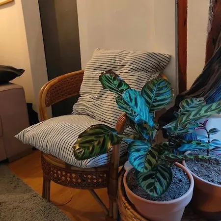 Parfaite Et Confortable Demeure דירה